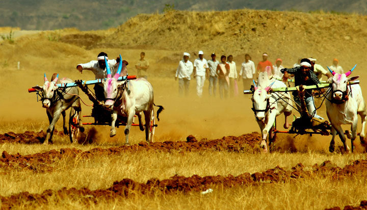 Maharashtra housing projects: Worth Rs 23,719 Crore Approved