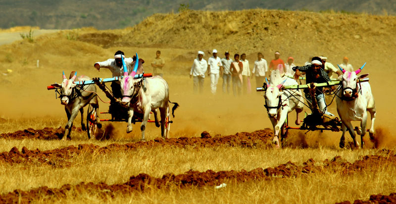 Maharashtra housing projects
